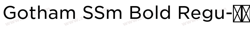 Gotham SSm Bold Regu字体转换